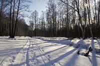 20080216_1762