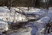 20080216_1765