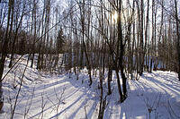 20080216_1768