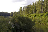 20080710_2386