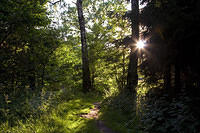 20080710_2398