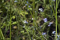 20080712_2413