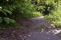 20080712_2425