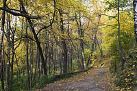 20081005_2875