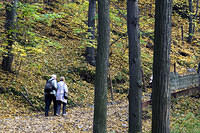 20081005_2878