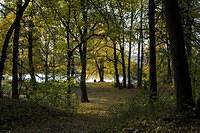 20081005_2879