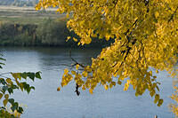 20081005_2882