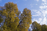 20081005_2888