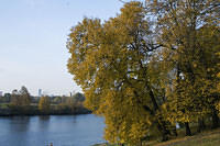 20081005_2890