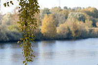 20081005_2895