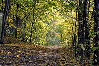 20081005_2902