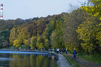 20081005_2905