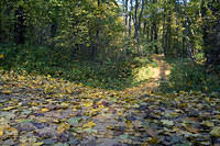 20081005_2909