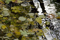 20081005_2911