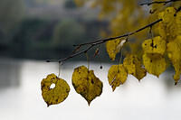 20081005_2923