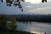 20081005_2924
