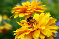 web20060729_0265.jpg