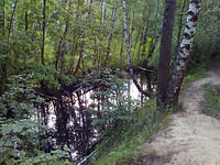 elk-island-06